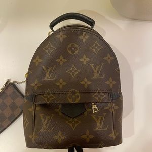 Louis Vuitton Palm Springs Mini Backpack & LV Coin Wallet